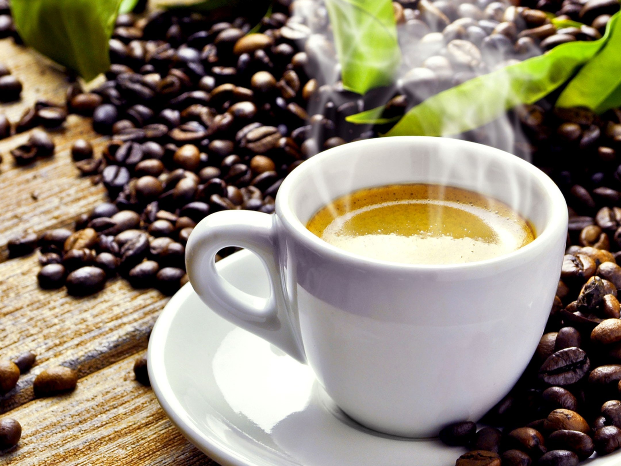 arabica